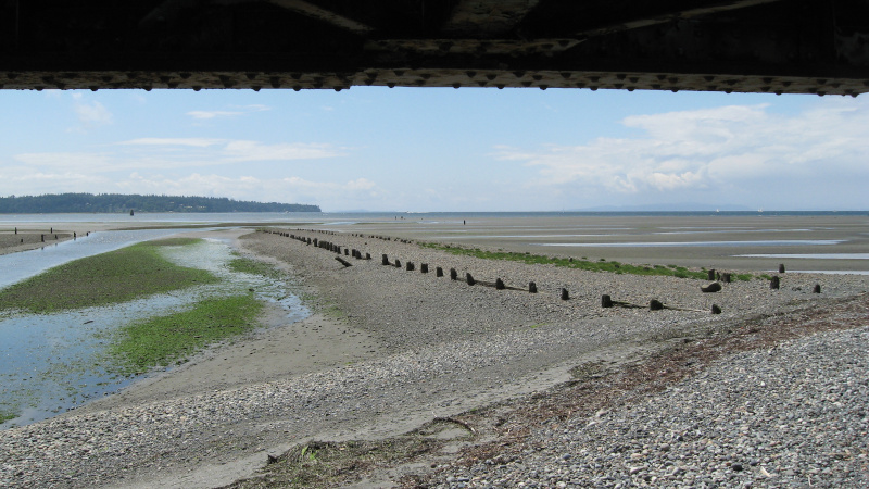 Looking south from TATLU (Campbell River), in SEMYOME Territory