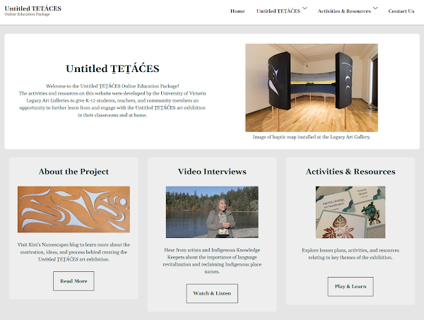 screenshot of the Online Education Package website
